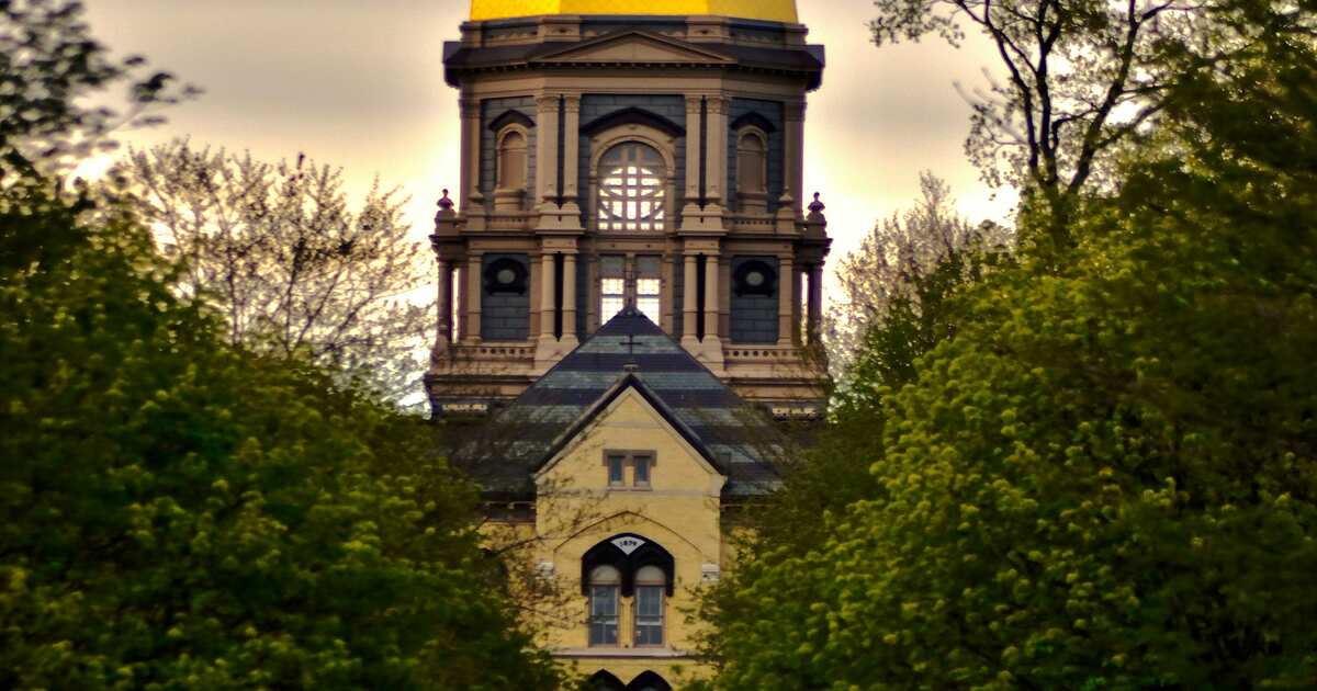 Golf Leagues Near South Bend Spark Golf